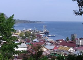 Realisasi Investasi Donggala Capai Rp888 Miliar Sepanjang 2025, Kok Bisa?