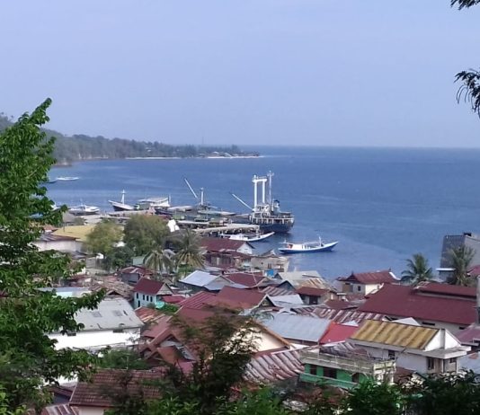 Realisasi Investasi Donggala Capai Rp888 Miliar Sepanjang 2025, Kok Bisa?