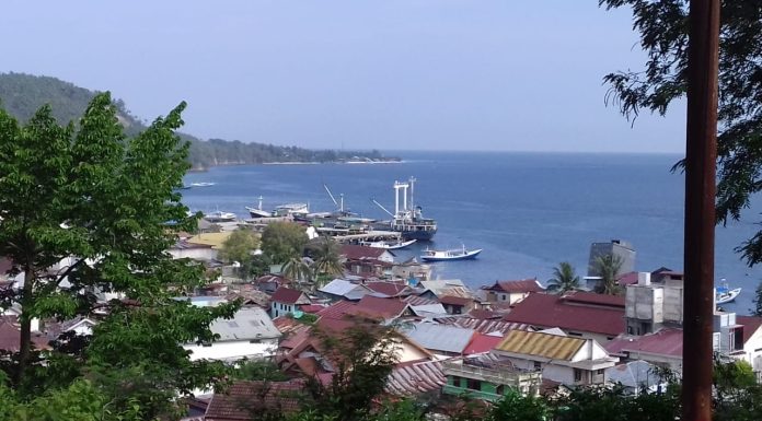 Realisasi Investasi Donggala Capai Rp888 Miliar Sepanjang 2025, Kok Bisa?