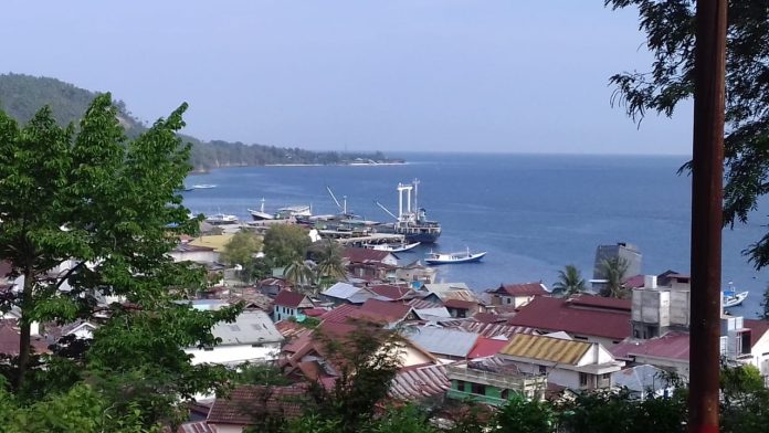 Realisasi_Investasi_Donggala_Capai_Rp888_Miliar_Sepanjang_2025,